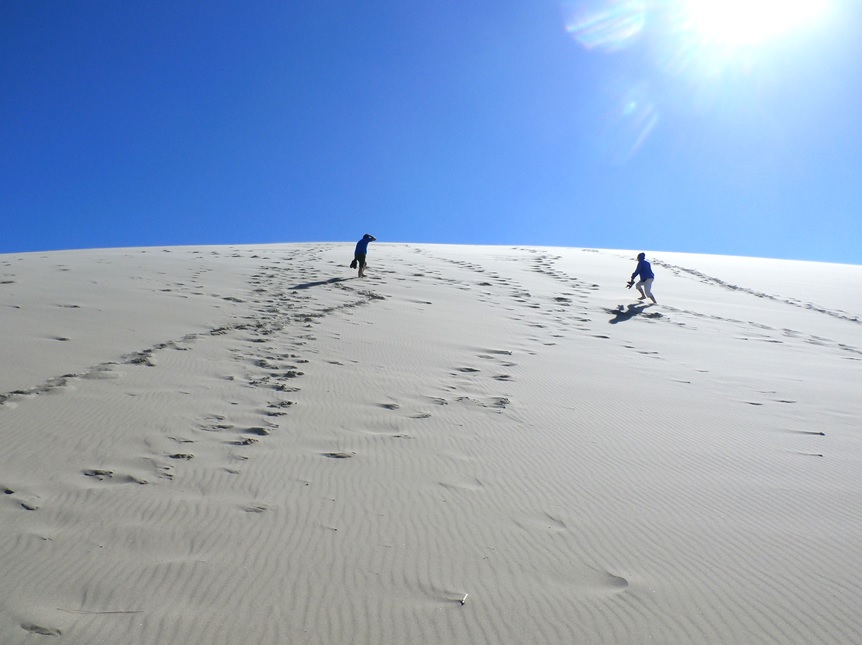 Pozoruhodné oregonské piesočné duny